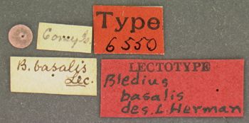 Media type: image;   Entomology 6550 Aspect: labels